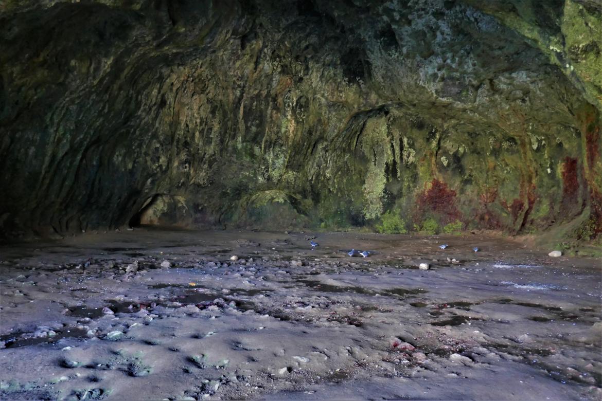 Wogan's Cavern, Pembroke Castle