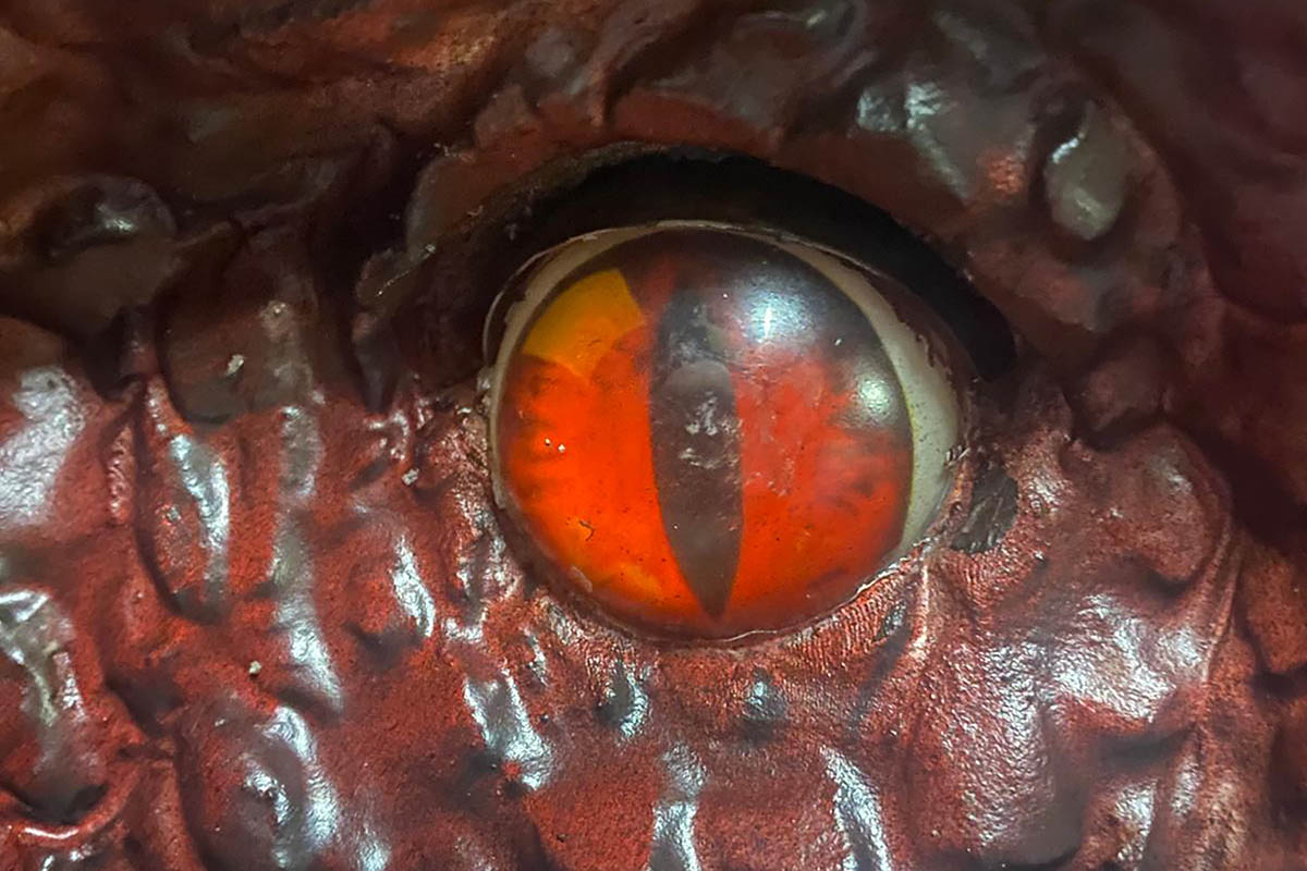 Discover the Dragon